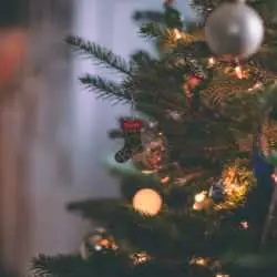 Bauble Workshop